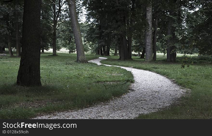 Road In The Park.