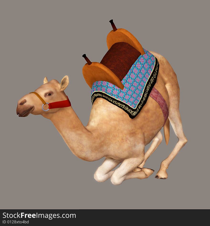 Camel