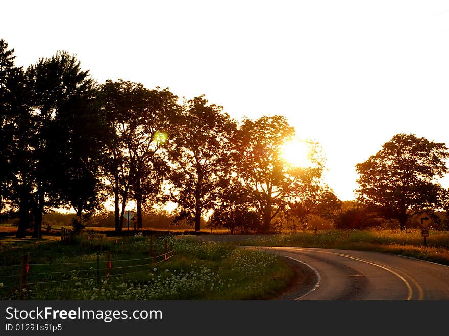 This road gleamed golden from behind those trees. This road gleamed golden from behind those trees.