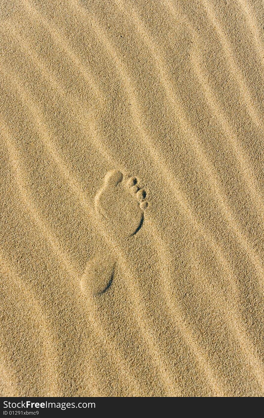 Footprint on the wavy sand