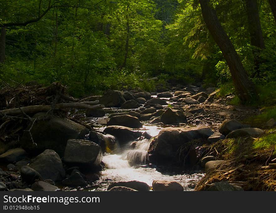 Forest stream flowing through rocks under filtered sunlight. Forest stream flowing through rocks under filtered sunlight