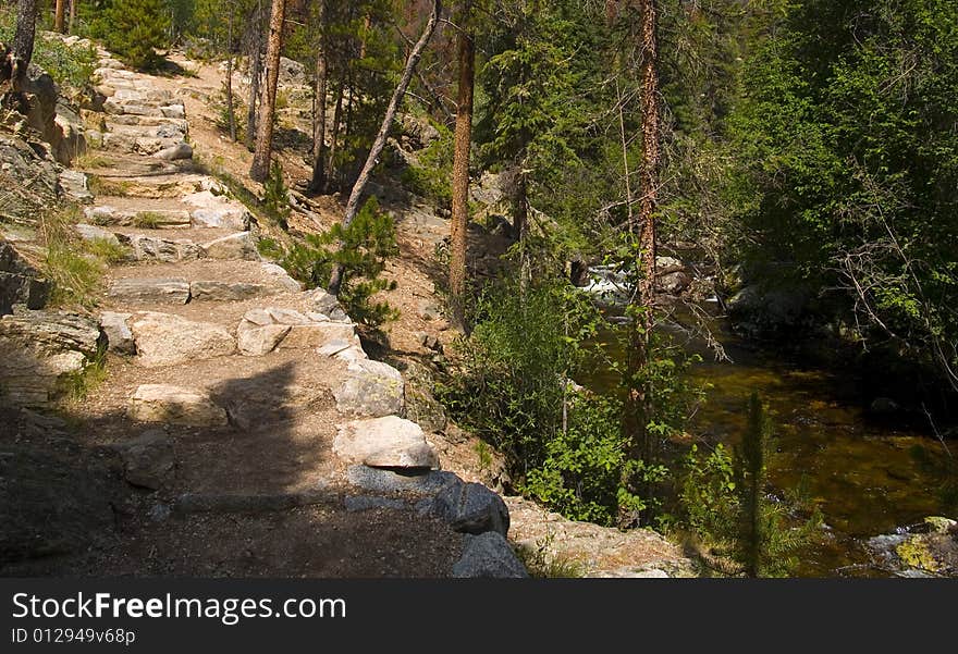 Forest Stair And River