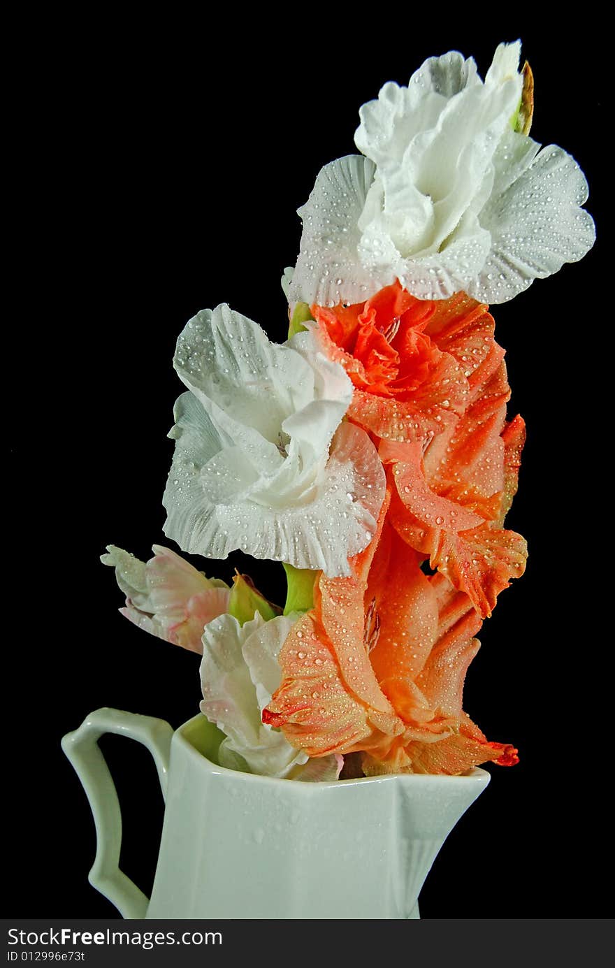 Water droplets on gladiolas in vintage pitcher. Water droplets on gladiolas in vintage pitcher.