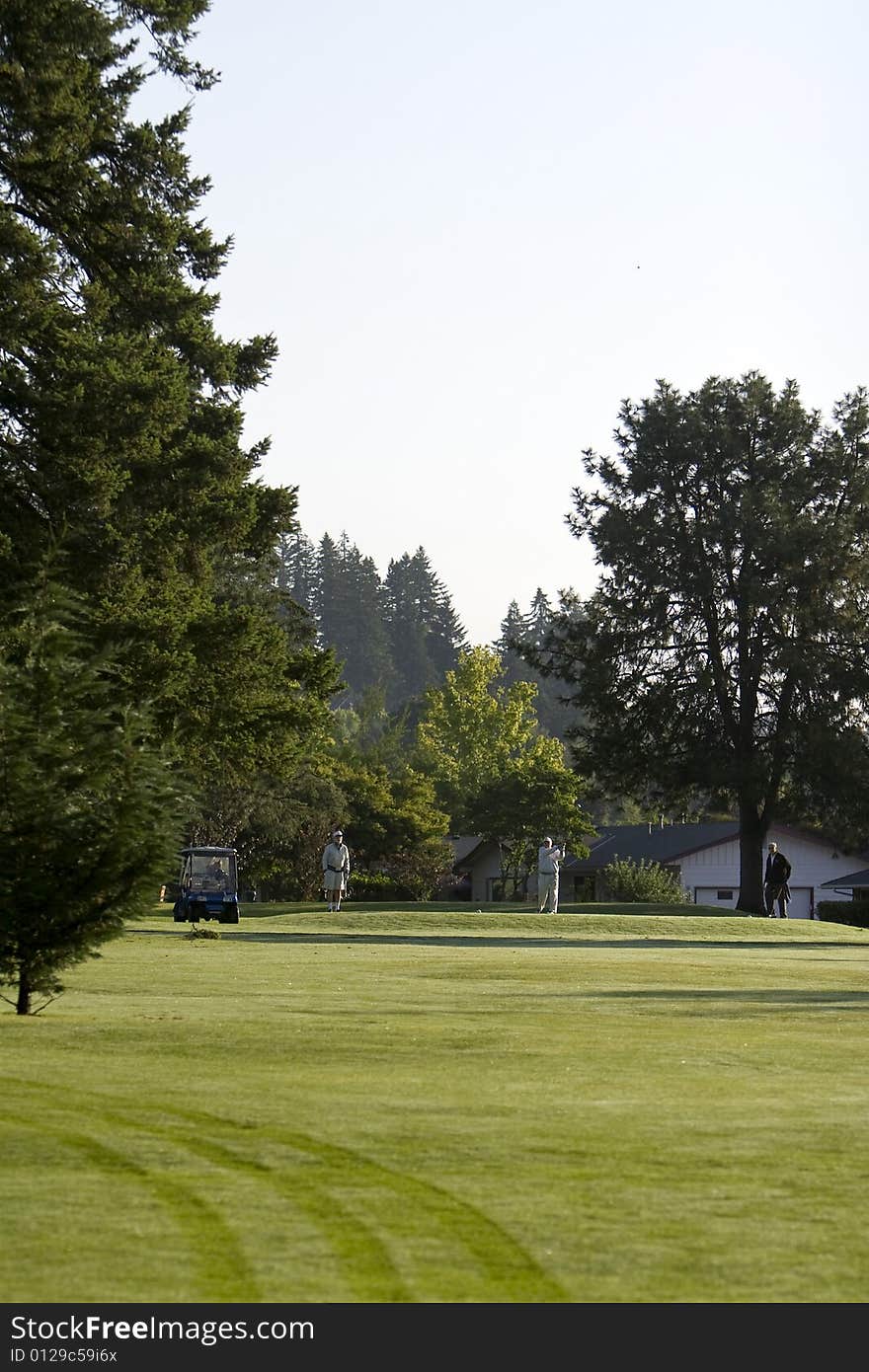 Two men are playing golf on a golf course. They are standing next to a golf cart on the fairway. Vertically framed shot. Two men are playing golf on a golf course. They are standing next to a golf cart on the fairway. Vertically framed shot.