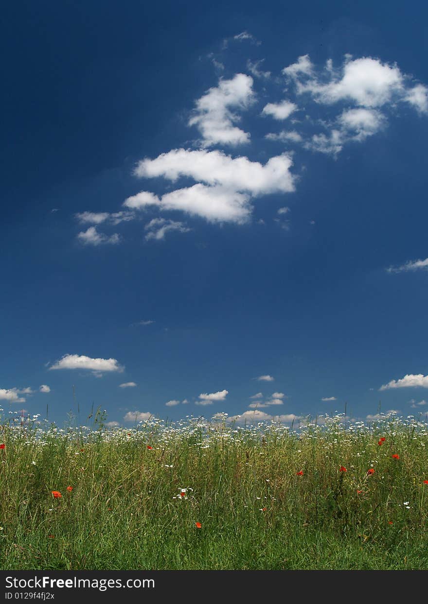 Clouds and field in sunny day