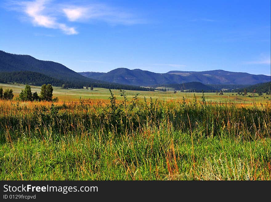 Mountain Pasture