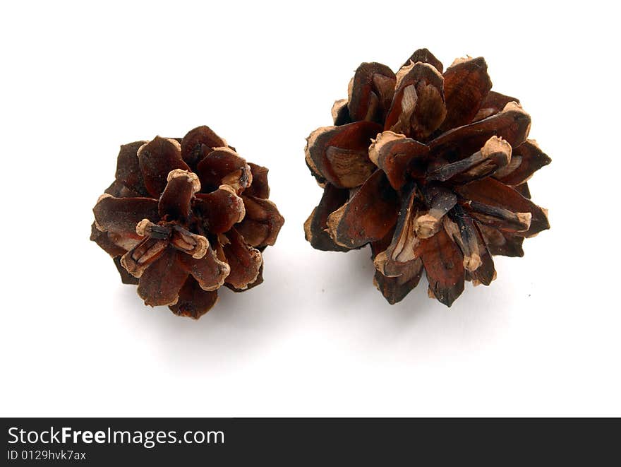 Pine-cones