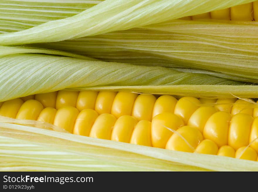 Close-up of corn on the cob