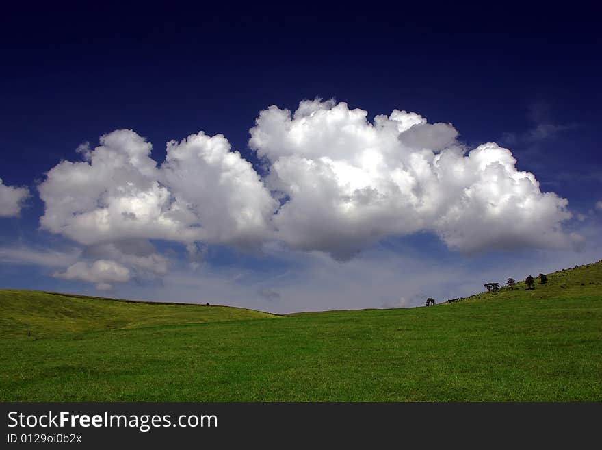 Ellipse landscape