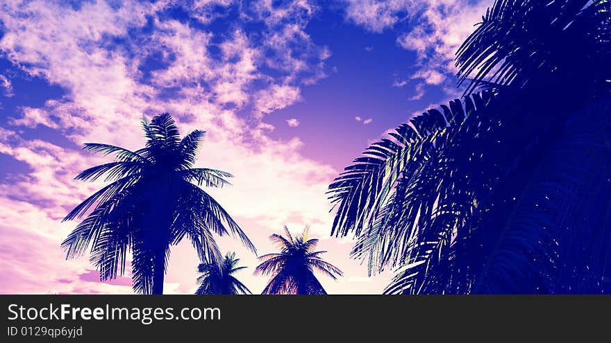 Beautiful sunset with palms. 3d image