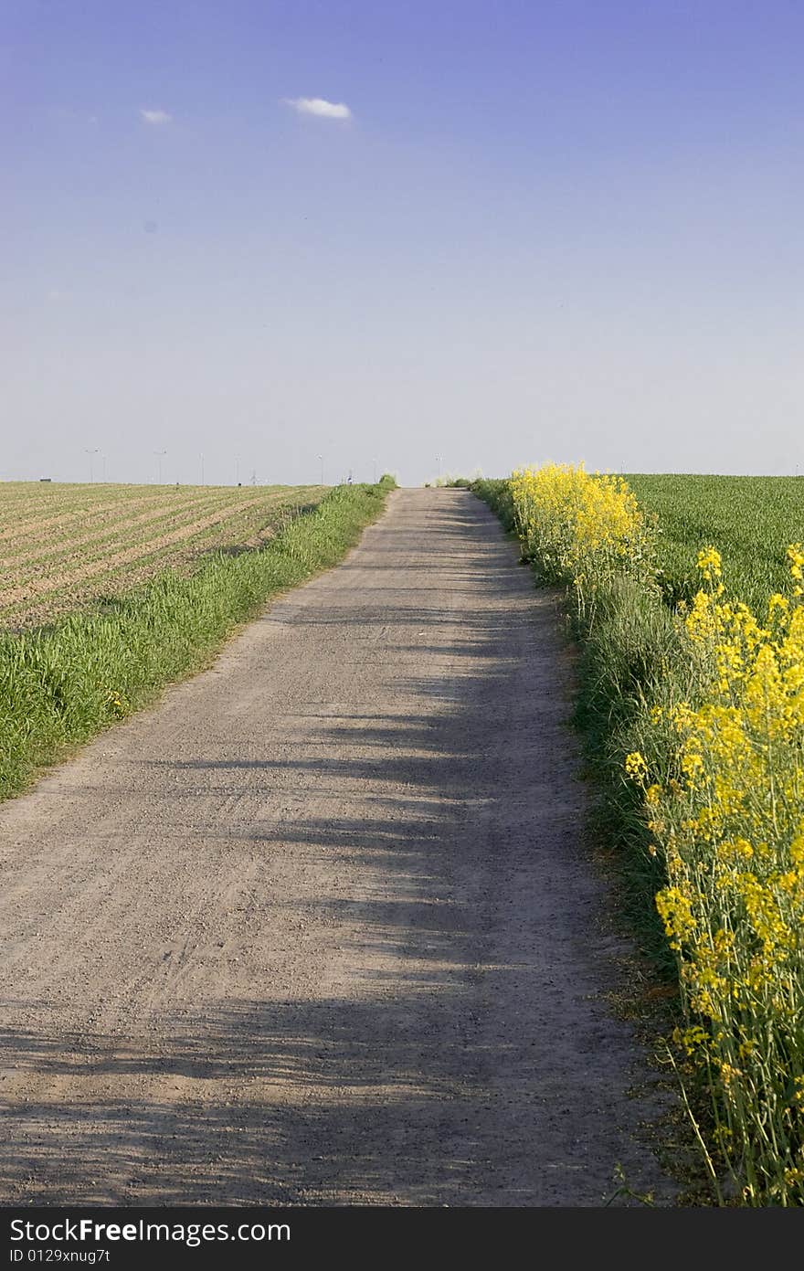 The long path beetwen field and meadow