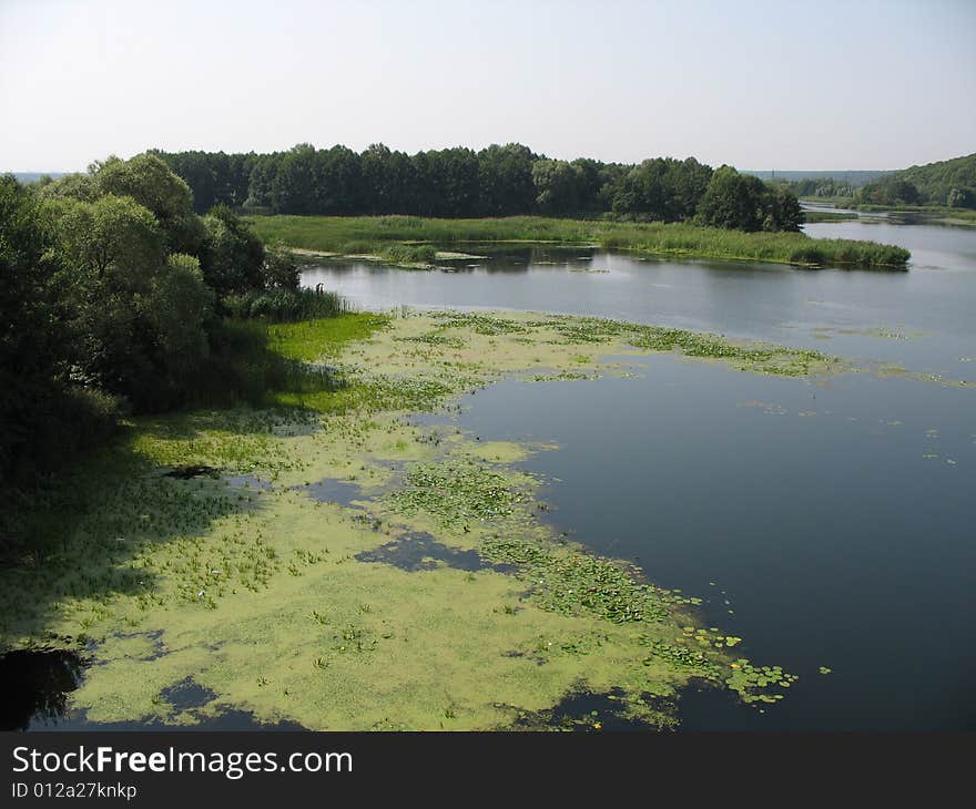 Silent River. View from the bridge.