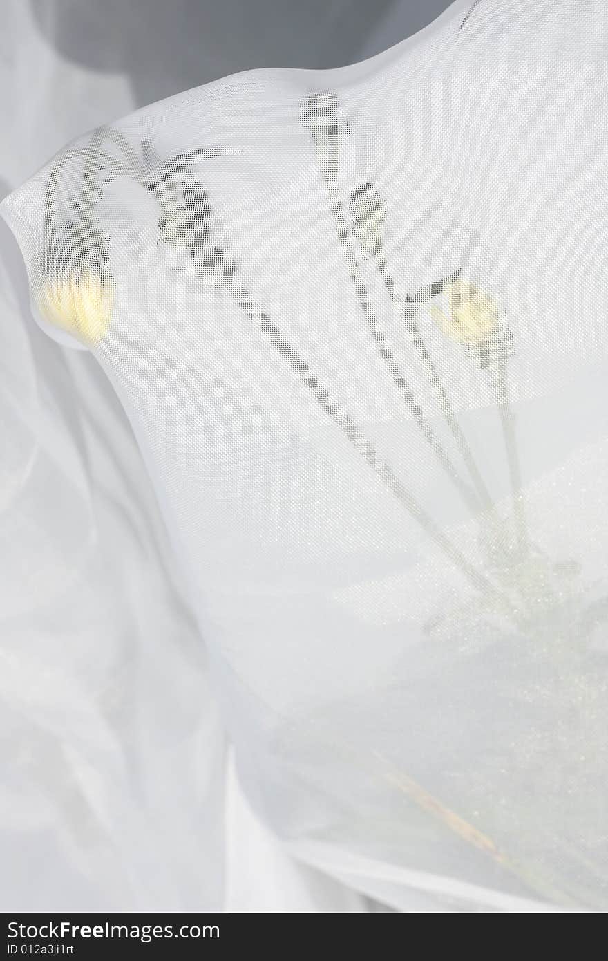 Wedding abstract with yellow flower