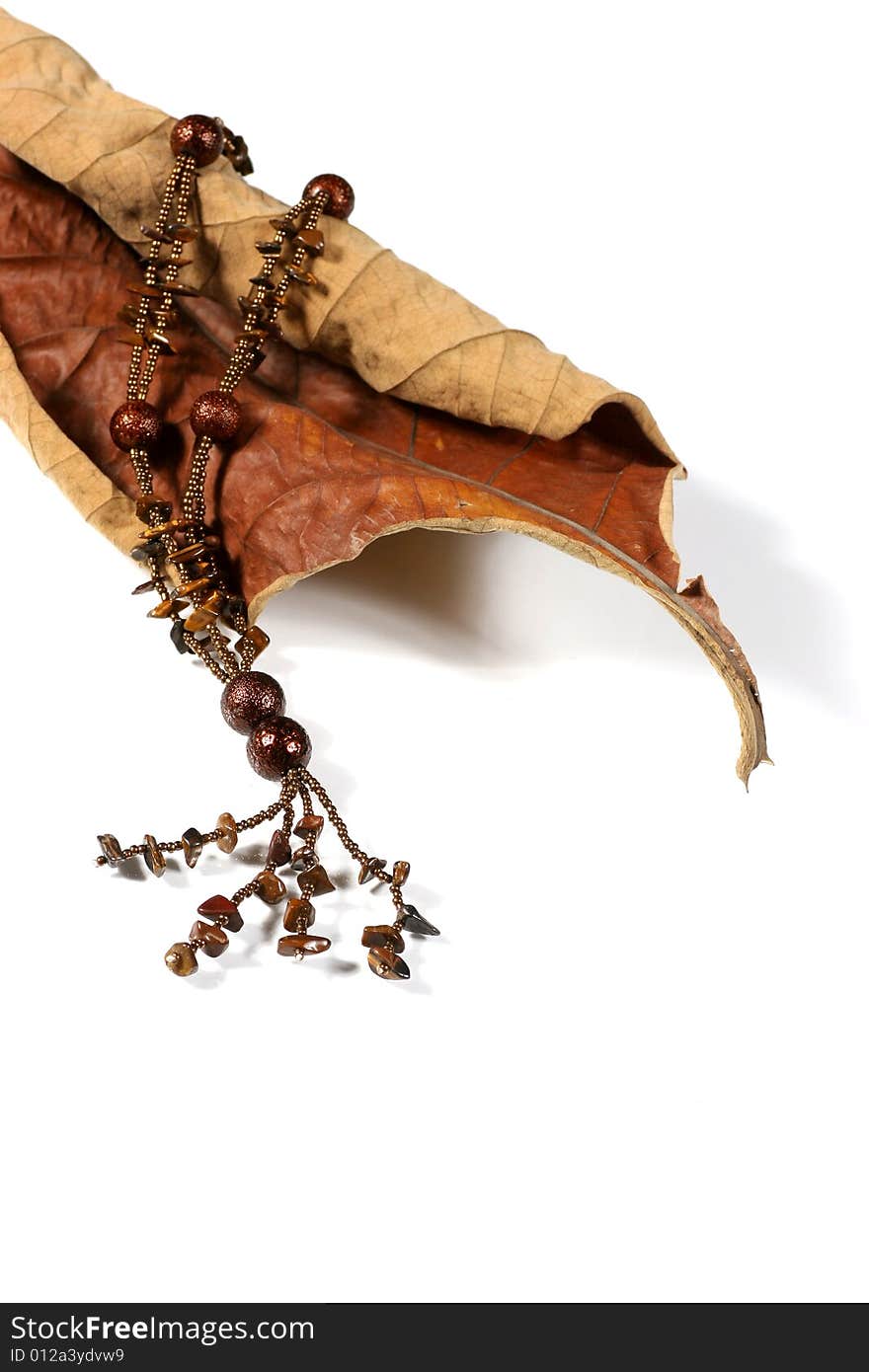 Dried leaf with necklace