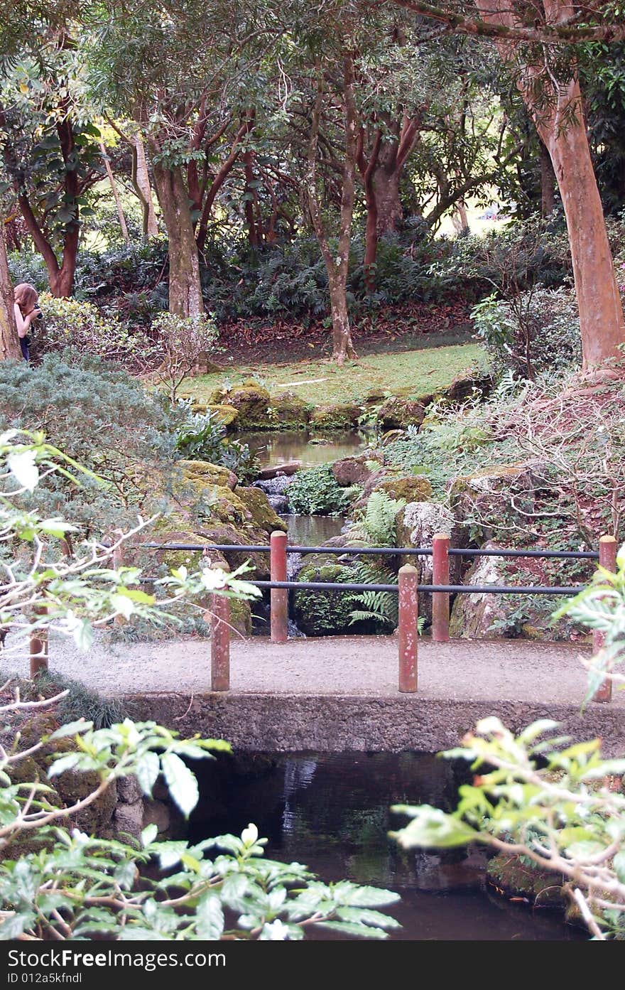 Small walkway bridge over a quiet gentle brook. Small walkway bridge over a quiet gentle brook