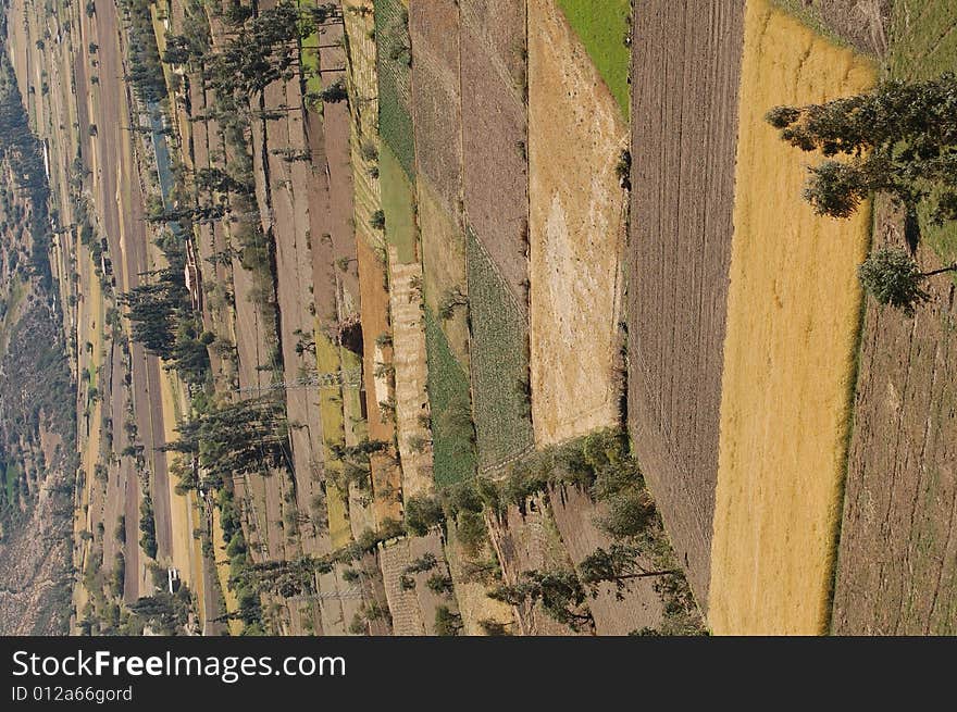 Fields Of Ollayantambo Peru