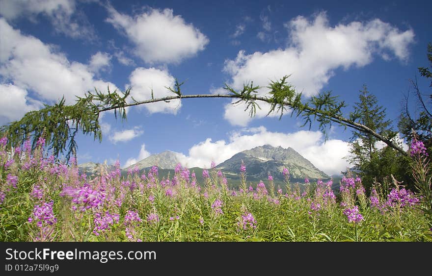 Landscape with mountain