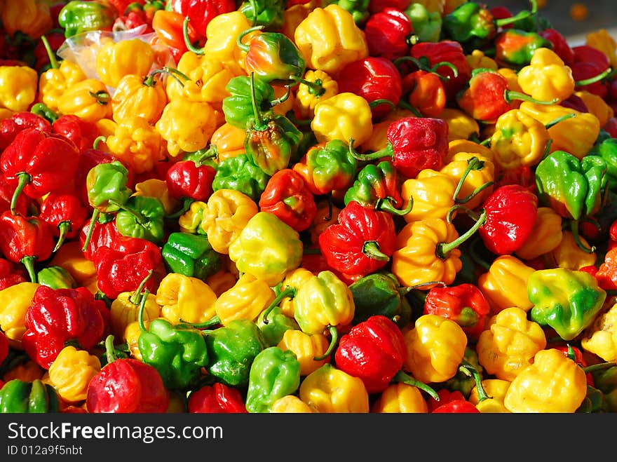 Colorful Peppers