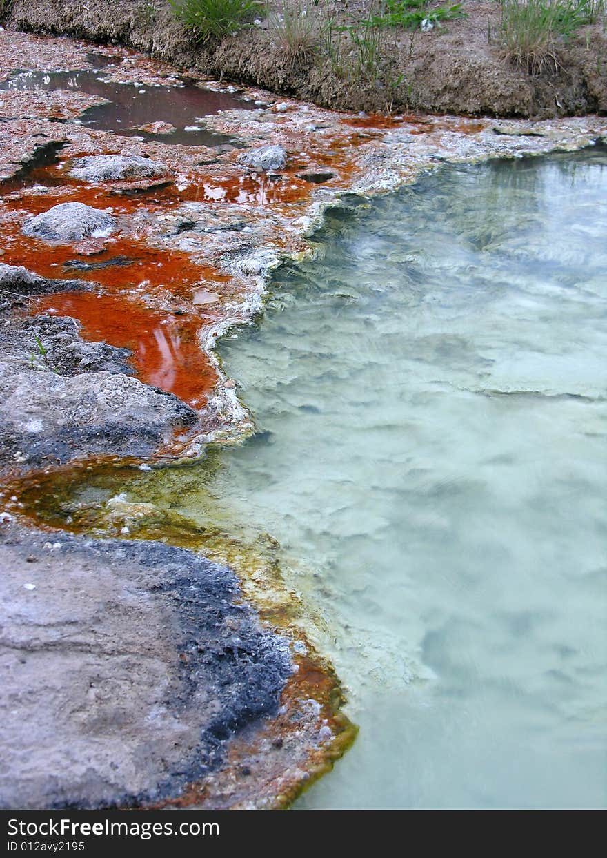 Colorful banks of a pond