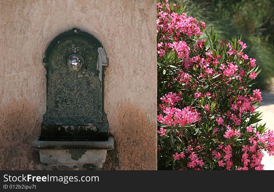 Water Fontaine With Flowers