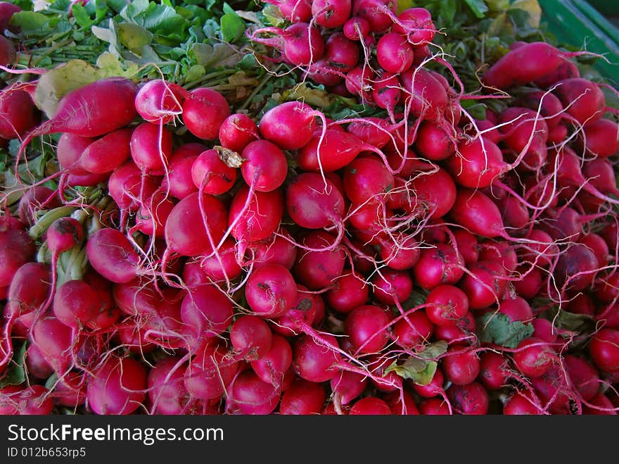 Bunch of radishes at the farmer's market. Bunch of radishes at the farmer's market.