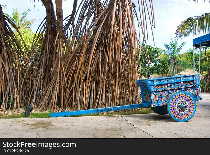 Colorful Wagon and Banyan Tree