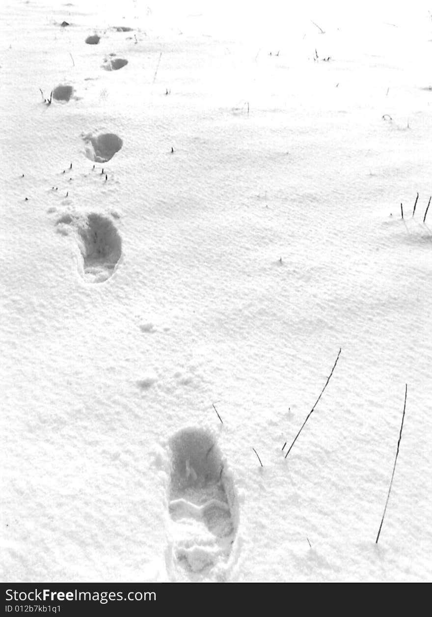 Footsteps in fresh snow going forward alone. Footsteps in fresh snow going forward alone