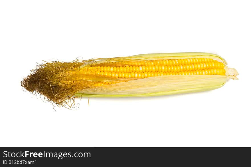 Sweetcorn on white ground