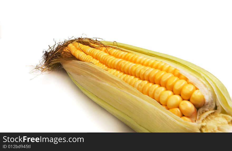 Fresh Sweetcorn on white ground