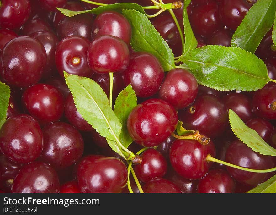 Sweet red cherries with leaves. Sweet red cherries with leaves