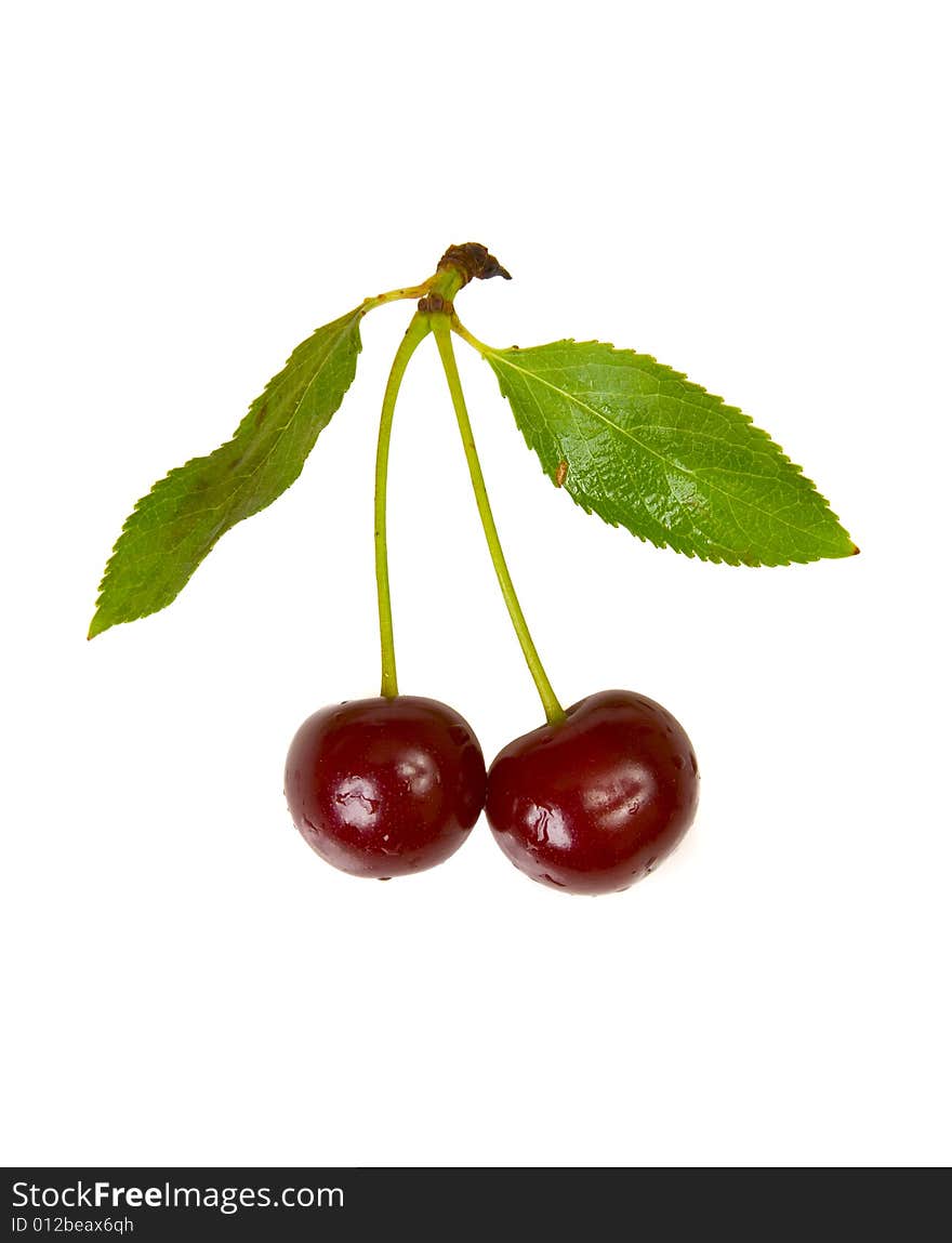 Isolated red cherries with leaves