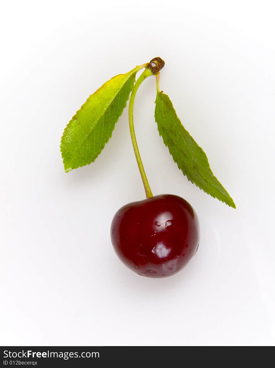 Sweet red cherry with leaves