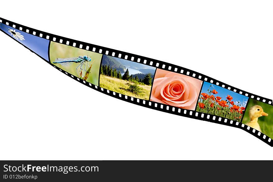 Film Strip