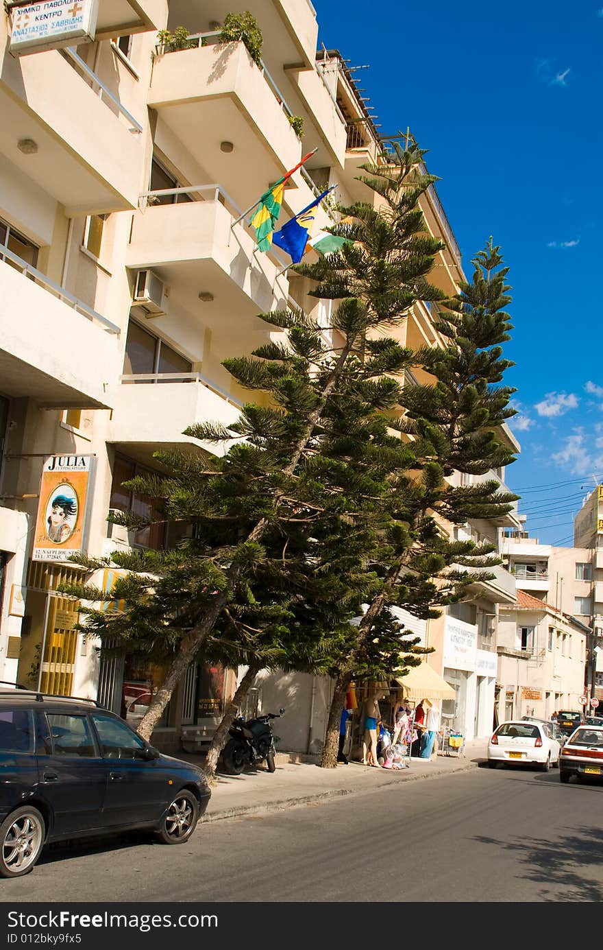 Two bent evergreen trees in the street cities. Two bent evergreen trees in the street cities