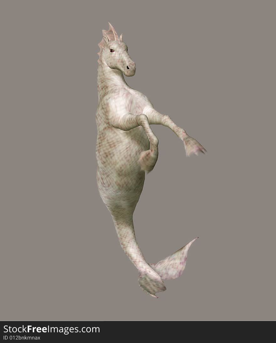 Seahorse