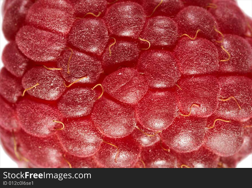 Red Raspberry Macro