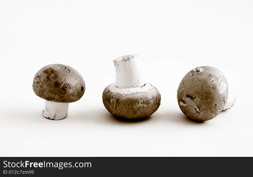 Still life of a row of three swiss brown button mushrooms in black and white