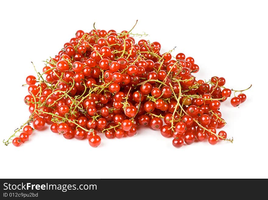 Red currant