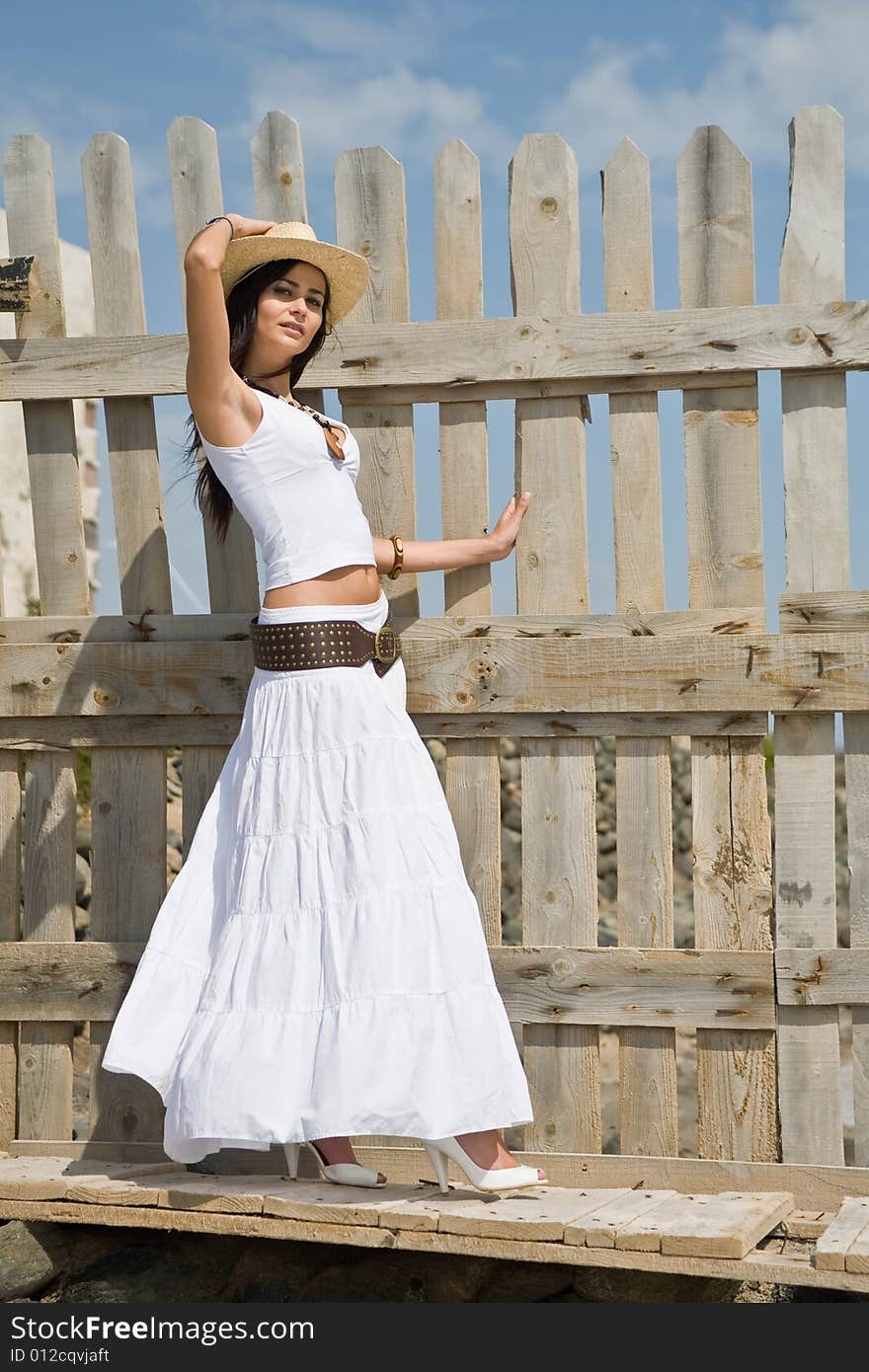 Young attractive woman posing on old wood fence. Young attractive woman posing on old wood fence