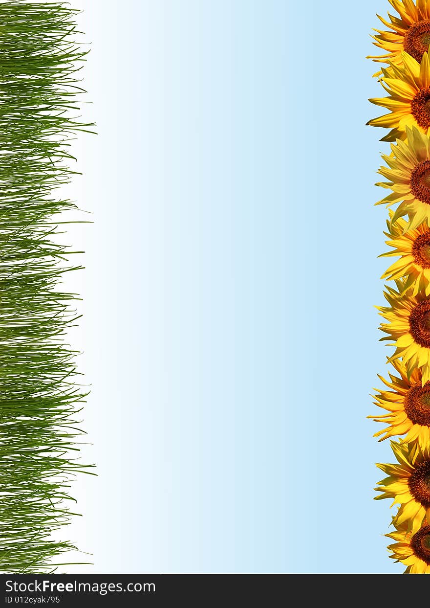 An image of sunflowers and grass in a line. An image of sunflowers and grass in a line.