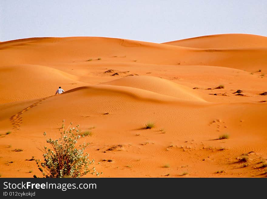 A resting place after a trip from Al Ain desert, United Arab Emirates. A resting place after a trip from Al Ain desert, United Arab Emirates.