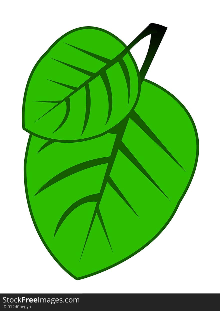 Green leaf