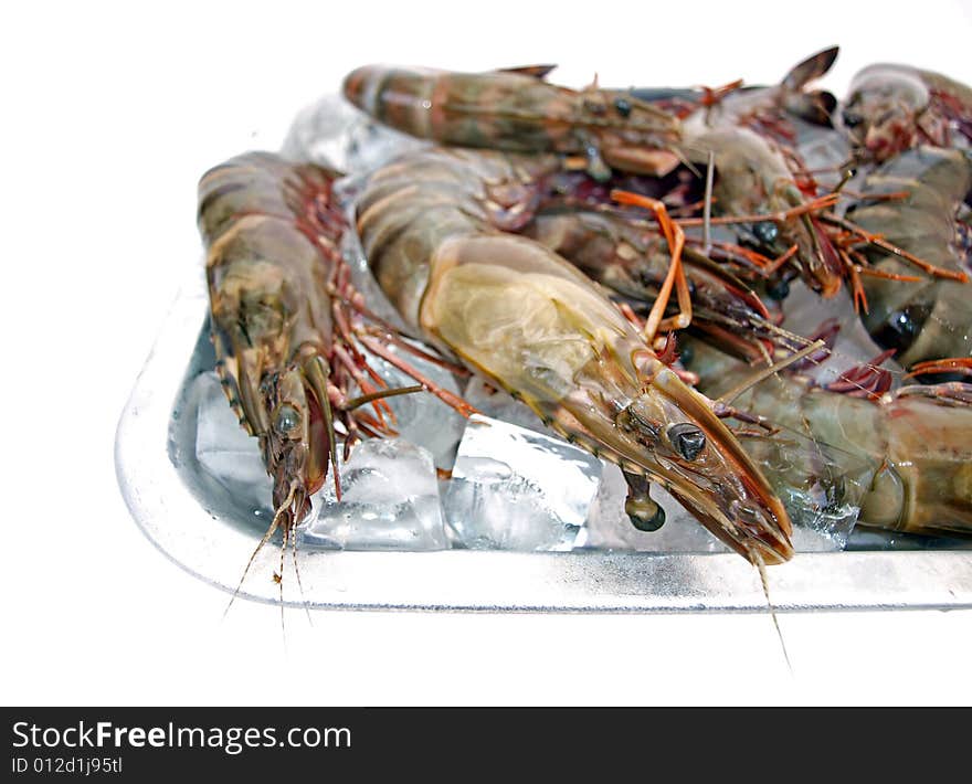 Big Sea Tiger Prawns Tray Three