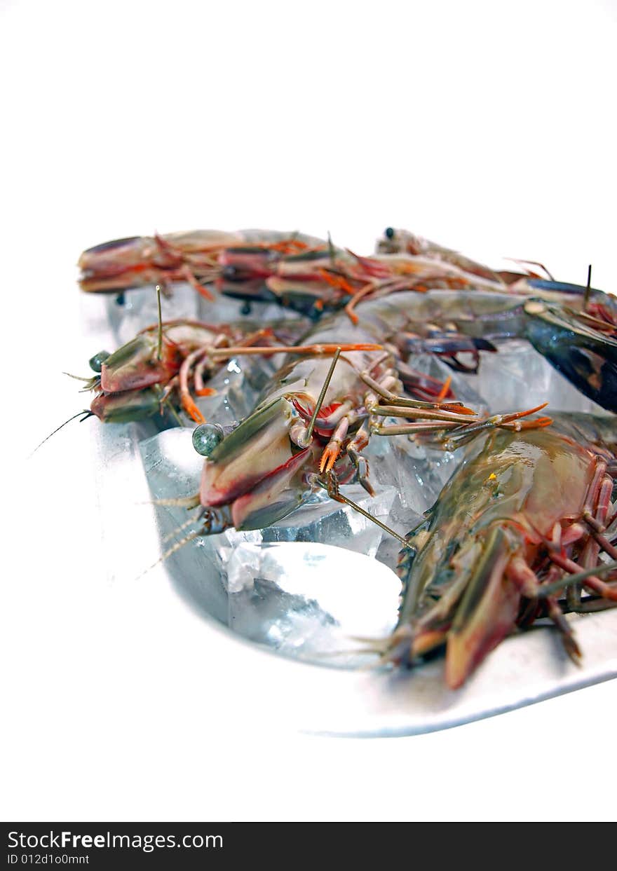 Big Sea Tiger Prawns Tray Two