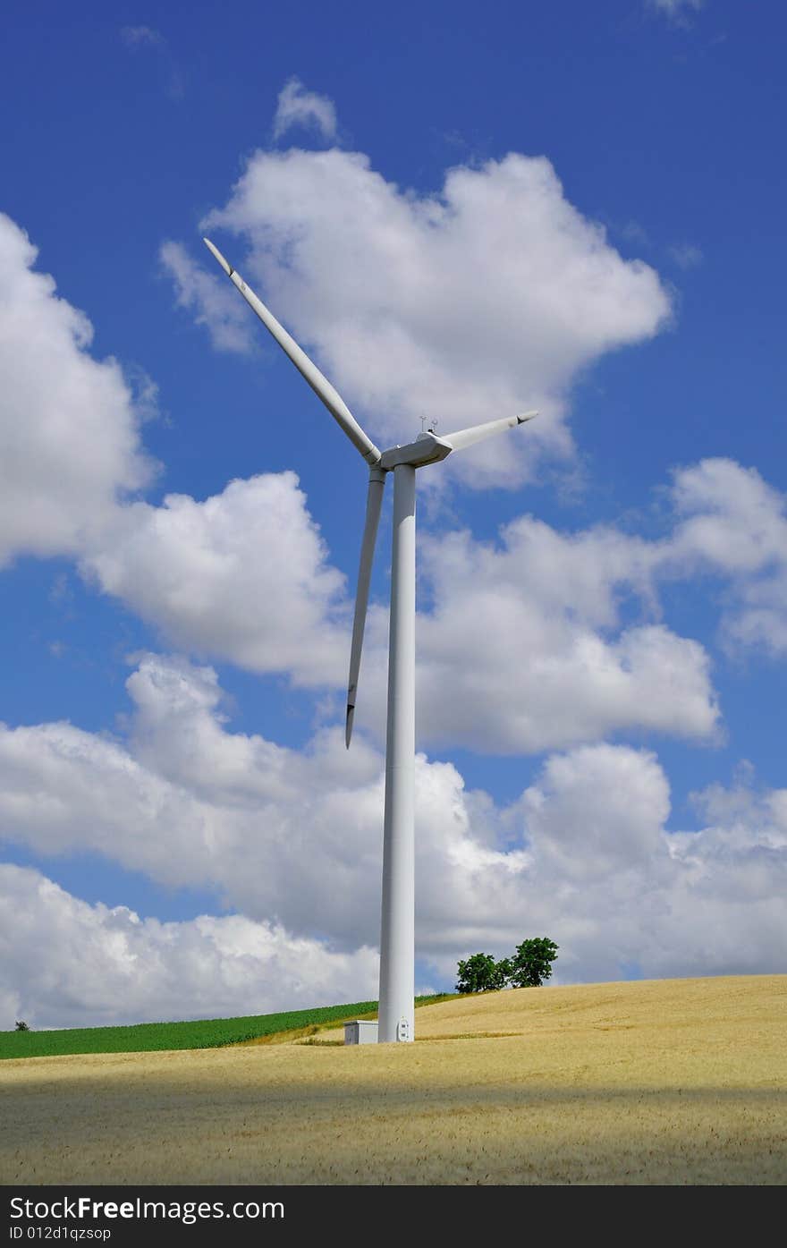 Wind in field, Lauragais near Toulouse