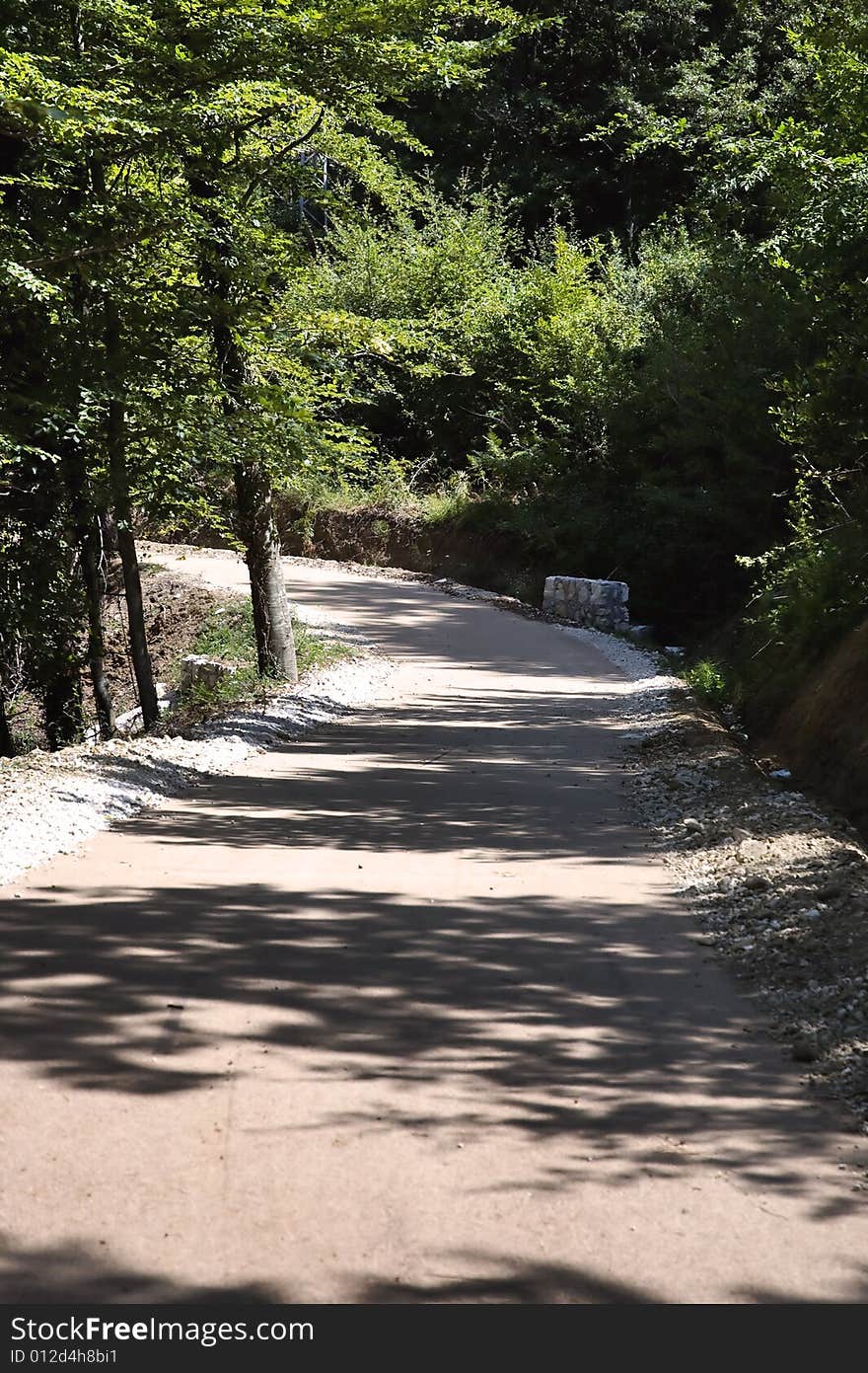 Mountain Trail