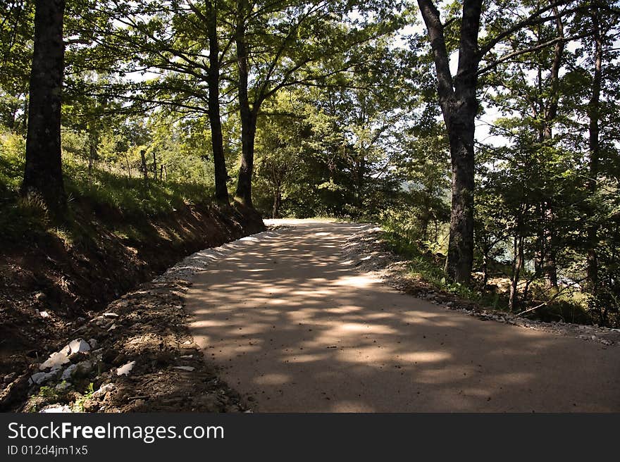 Mountain Trail