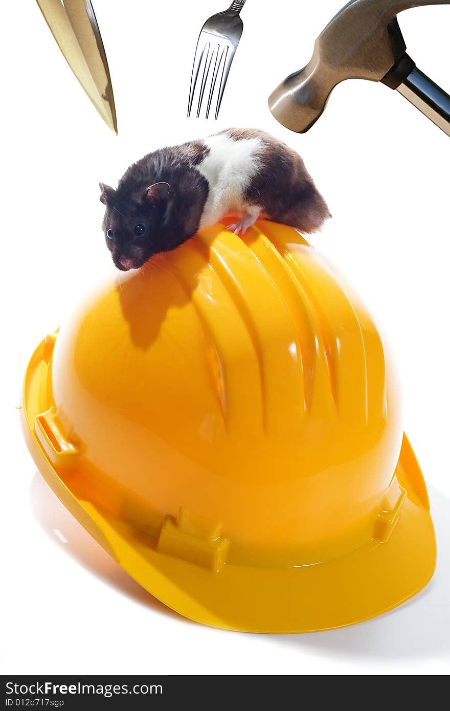 Hamster upon a helmet and threatened by a knife, a fork and a hammer. Hamster upon a helmet and threatened by a knife, a fork and a hammer