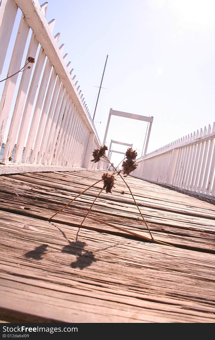 White Pier with Weeds Diagonal