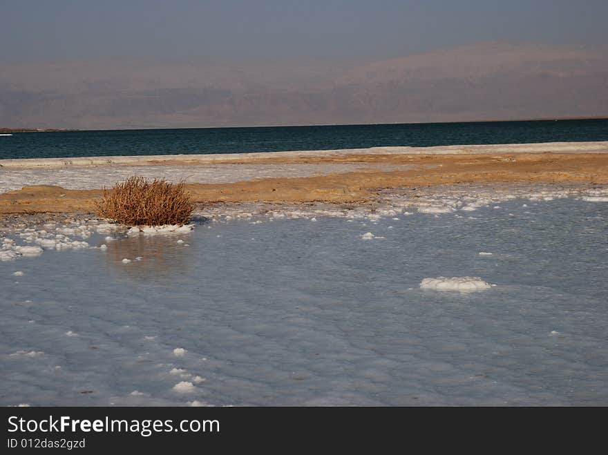 Salt on dead sea in the rays of sunset by evening